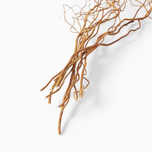 Dried Curly Willow Branches Set Of West Elm