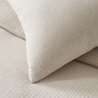 Dreamy Gauze Cotton Duvet Cover Shams West Elm