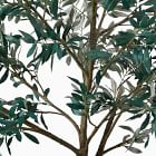 Faux Potted Olive Tree West Elm