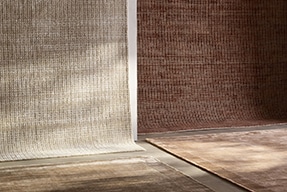 Shop new rugs