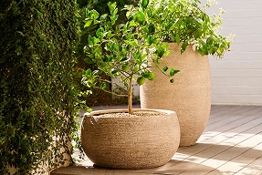 Outdoor planters