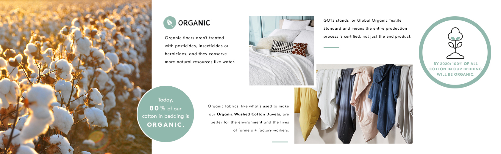 Our Commitments: Organic