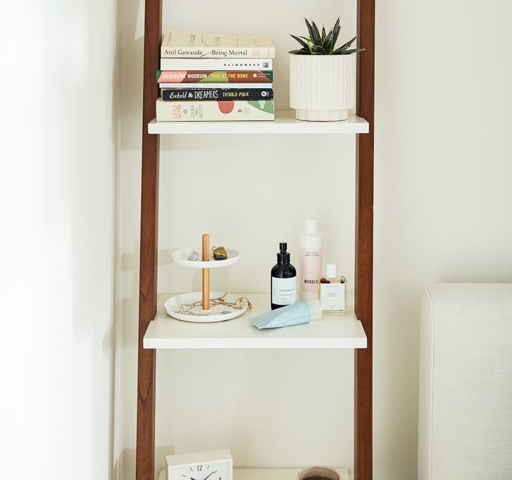 White and wood bookshelf with books and plant.