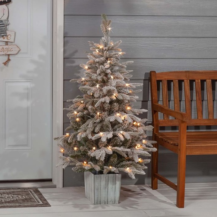 small outdoor christmas tree with lights on a porch