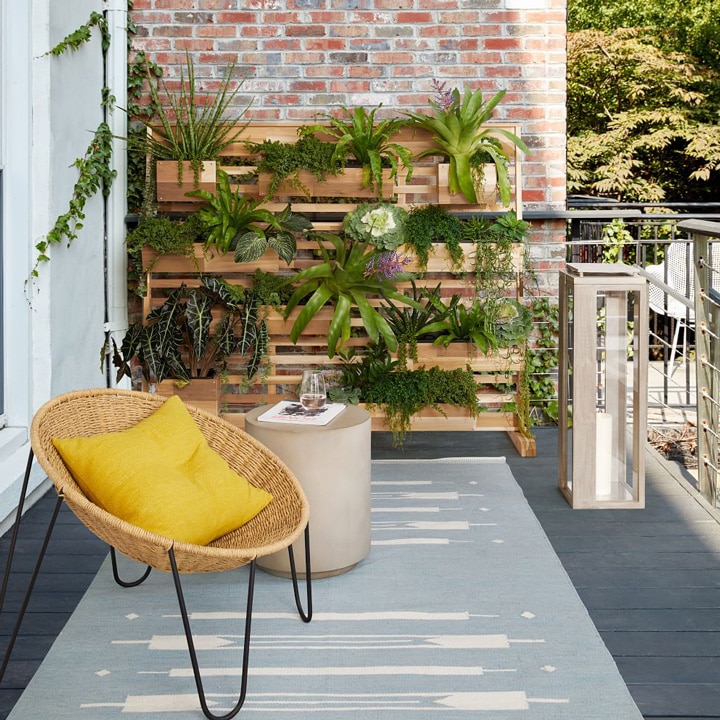 Vertical wall planter for outdoor patios.