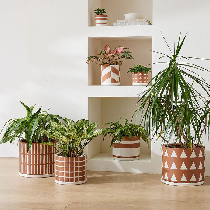 Assorted rust brown indoor planters.