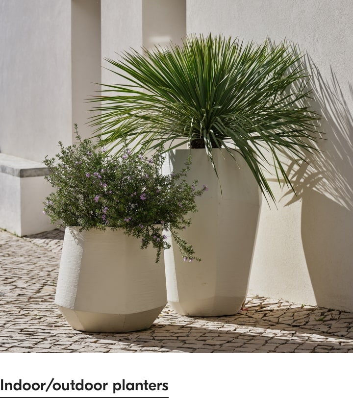 Indoor/Outdoor Planters