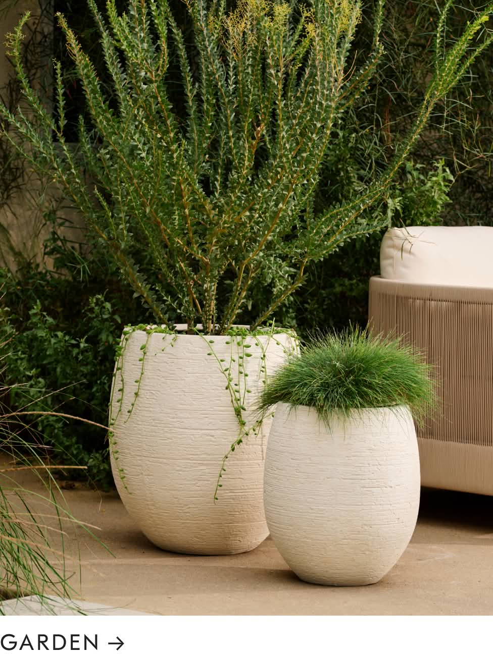 Garden Garden