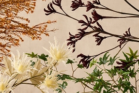 Fall botanicals