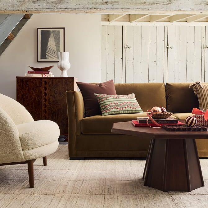 Modern Sofas for Every Home | Shop Now