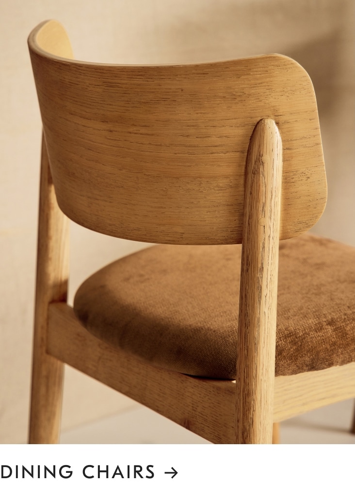 Dining Chairs Dining Chairs