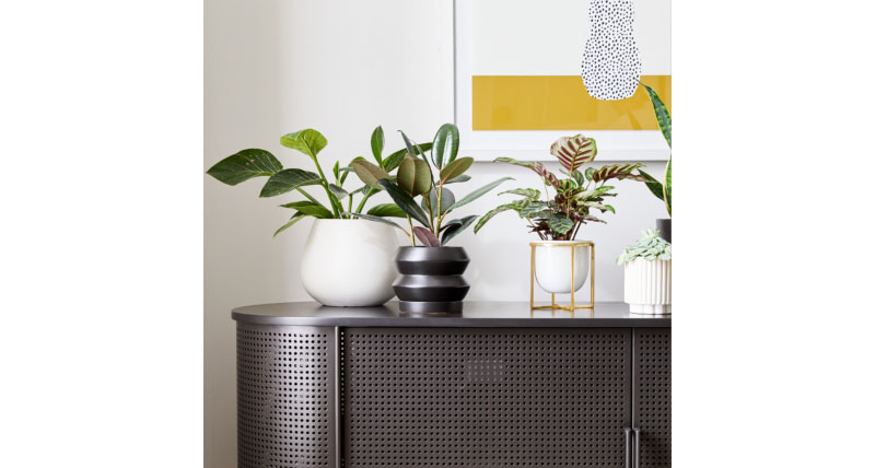 Gift Card West Elm