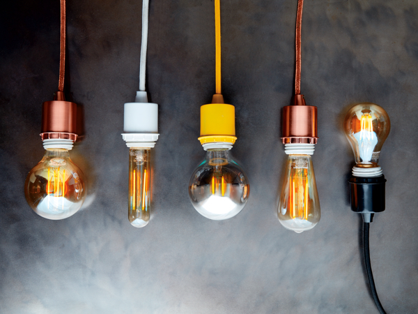 West shop elm bulb