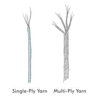 Single-Ply Yarn and Multi-Ply Yarn