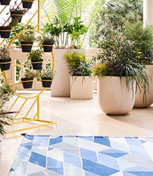 Create A Great Outdoor Space