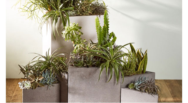 LANDSCAPE WITH PLANTERS