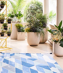 A Great Outdoor Space