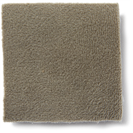 Dove Gray