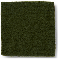 Moss