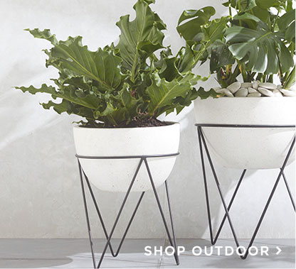 Shop Outdoor