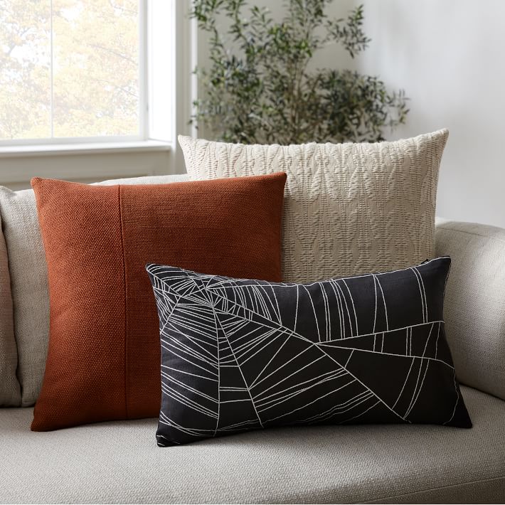 https://assets.weimgs.com/weimgs/ab/images/wcm//products/202351/0050/spider-web-pillow-cover-o.jpg