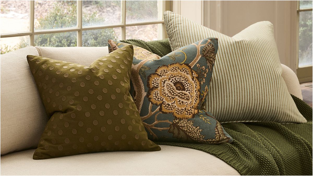Pierce \u0026 Ward Palampore Stripe Pillow Cover \u0026 Throw Set | West Elm, image size:1200x674