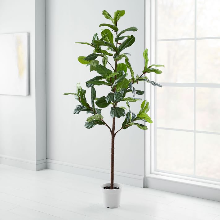Faux Potted Fiddle Leaf Fig Tree - 7' | West Elm