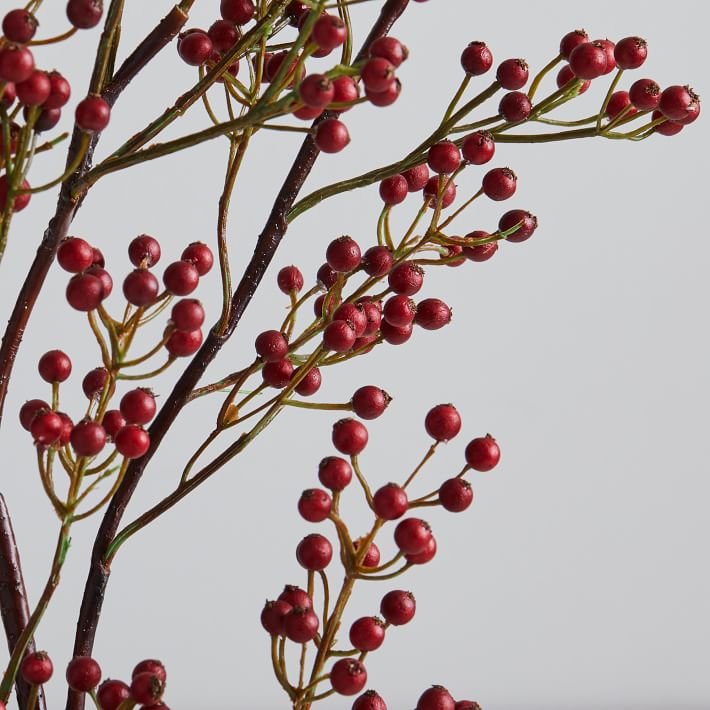 Faux Red Berry Branch West Elm