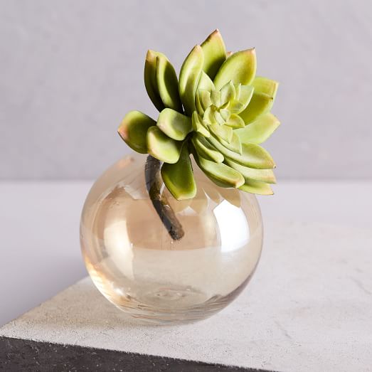 Faux Succulent Stem Echeveria