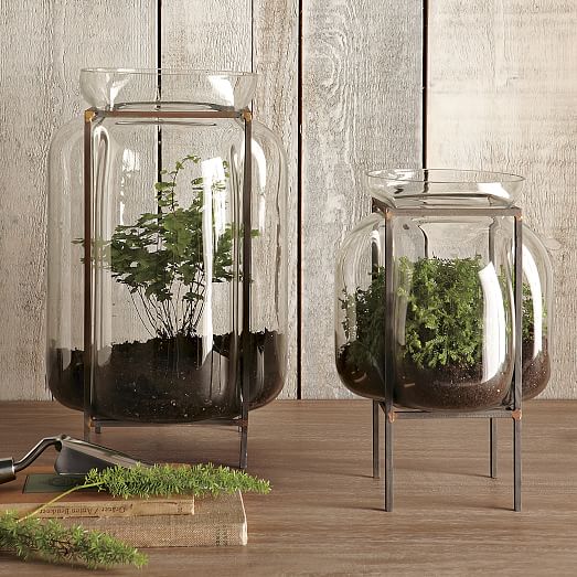 Glass Terrariums - Large Glass Terrarium Jars Glass Terrariums - Large Glass Terrarium Jars