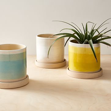 Indoor/Outdoor Planters