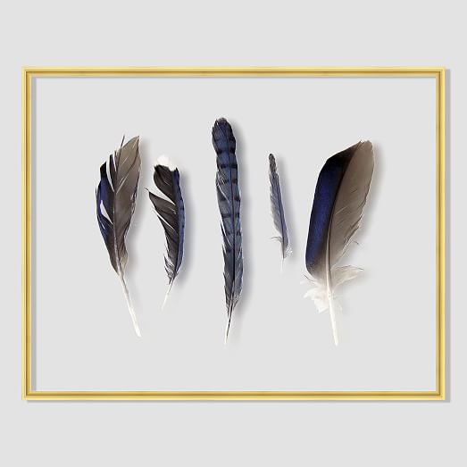 Still Acrylic Wall Art Feathers