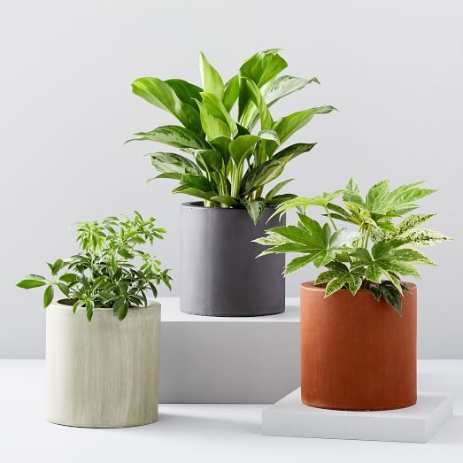 Pure Modernist Pots