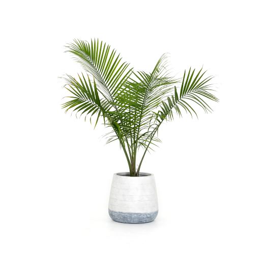 Ingall Planter - Round