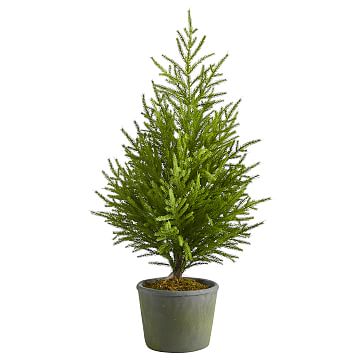 Faux Norfolk Island Pine Tree W Planter