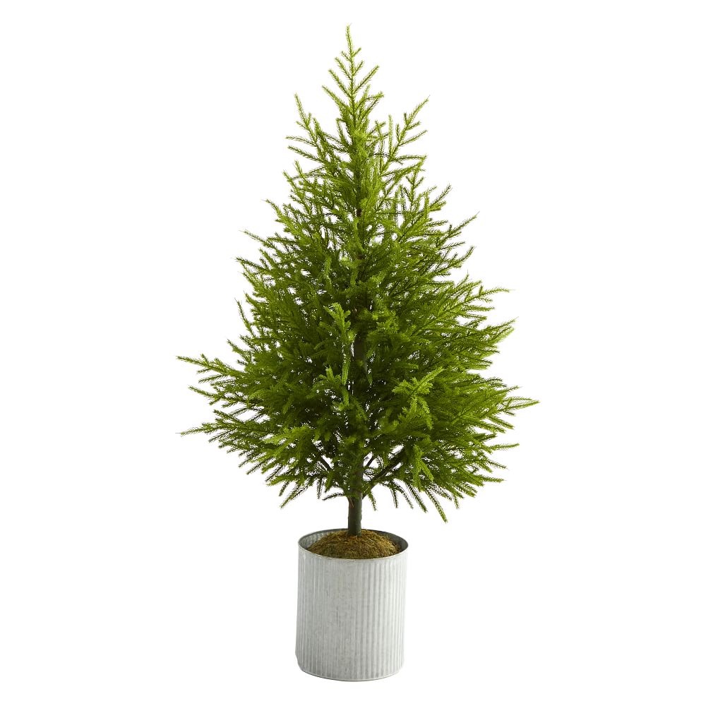Faux Potted Norfolk Island Pine Tree | West Elm