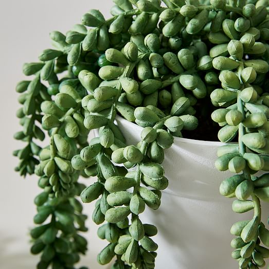 Faux Green Donkey Tail Succulent