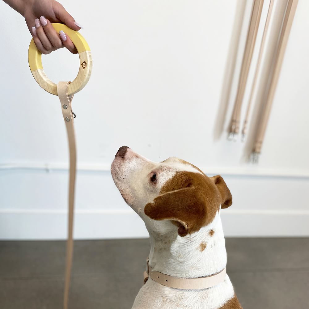 House Dogge BBoo Leather Leash West Elm