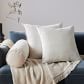 Classic Cotton Velvet Pillow Cover | West Elm