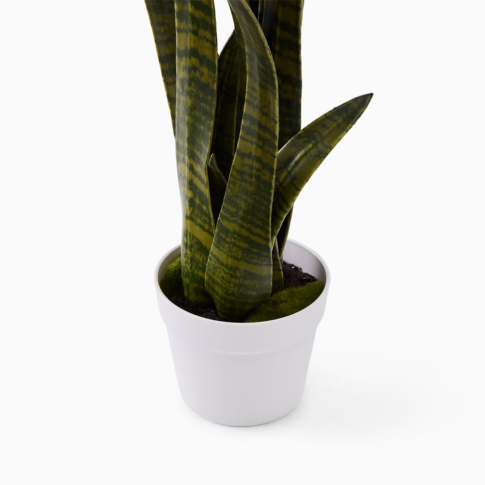 Faux Potted Snake Plant West Elm