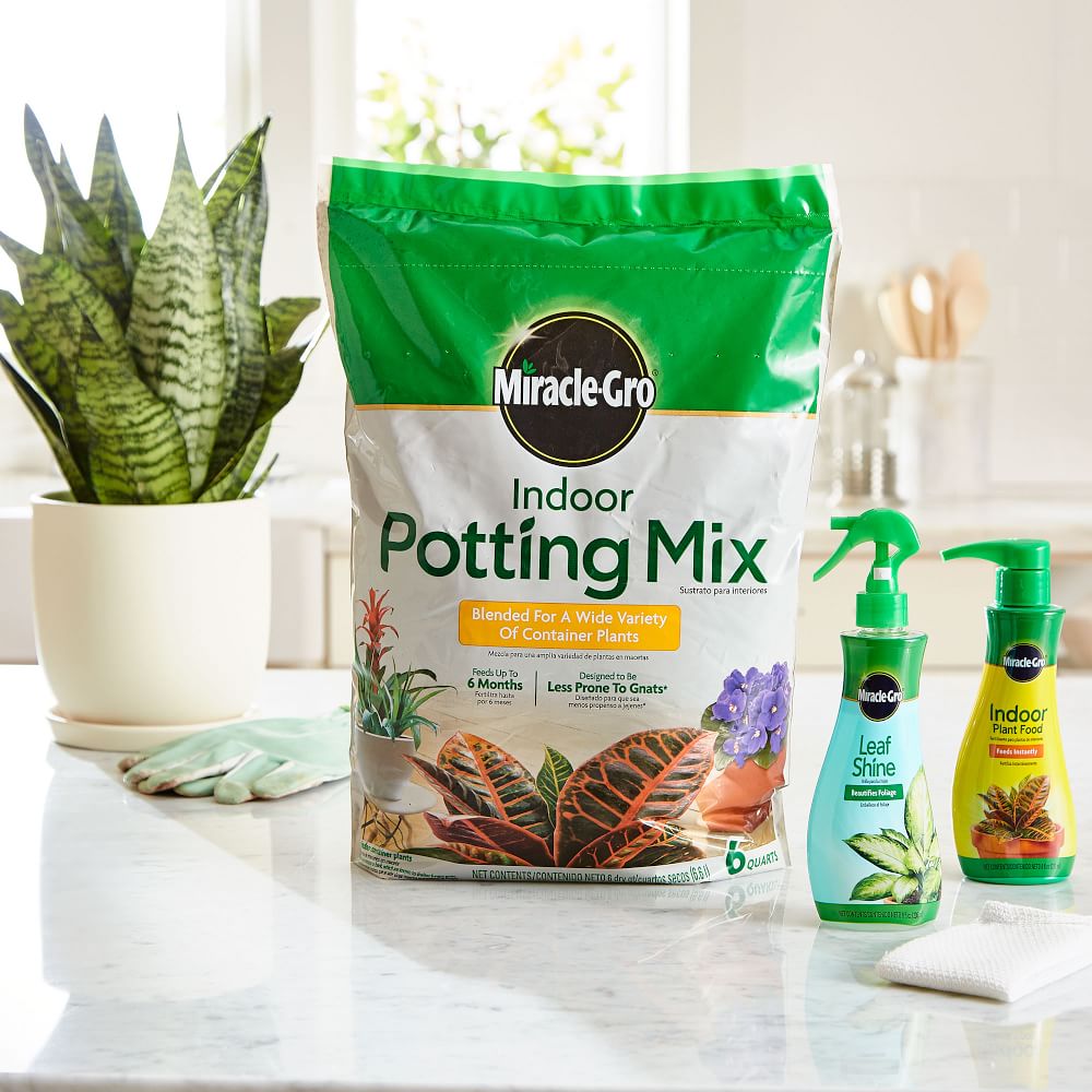 MiracleGro Indoor Potting Mix/Plant Food & Leaf Shine West Elm