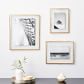 Terrace Floating Picture Frames | West Elm