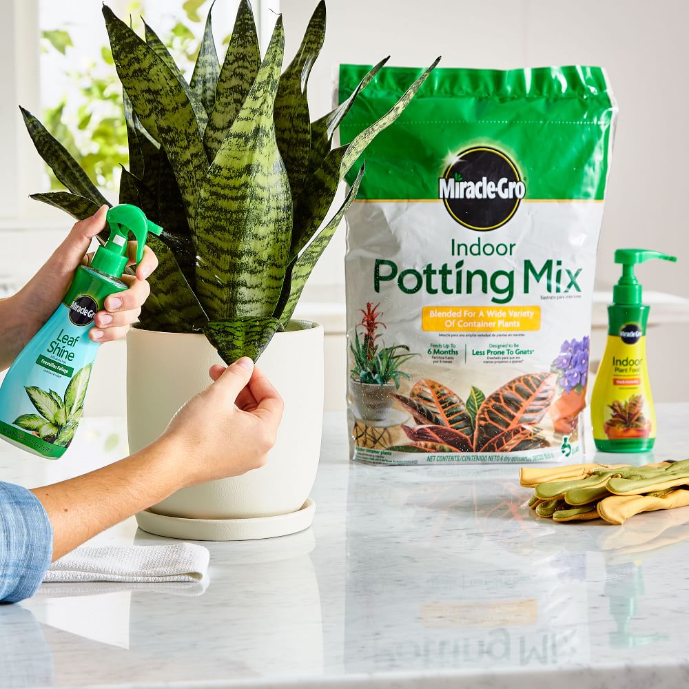 MiracleGro Indoor Potting Mix/Plant Food & Leaf Shine West Elm