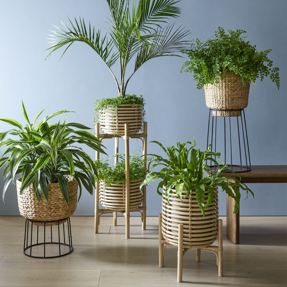Hilo Basket Planters West Elm