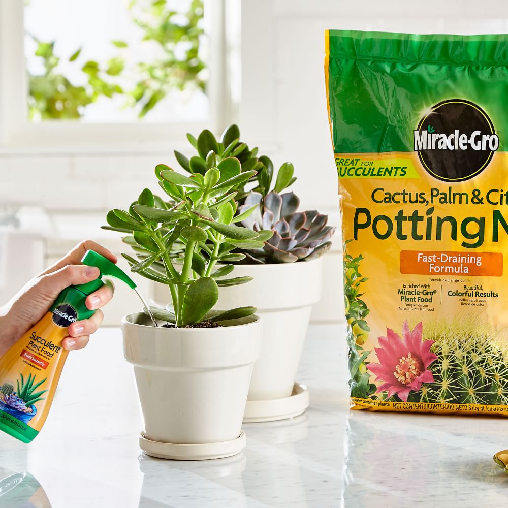 MiracleGro Cactus/Palm/Citrus Potting Mix & Succulent Plant Food