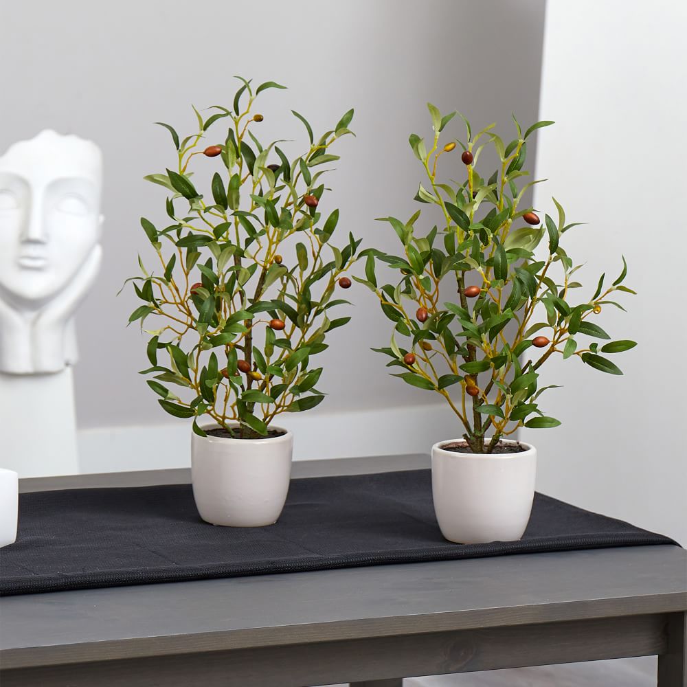 Faux Potted Tabletop Olive Tree Set of 2 West Elm