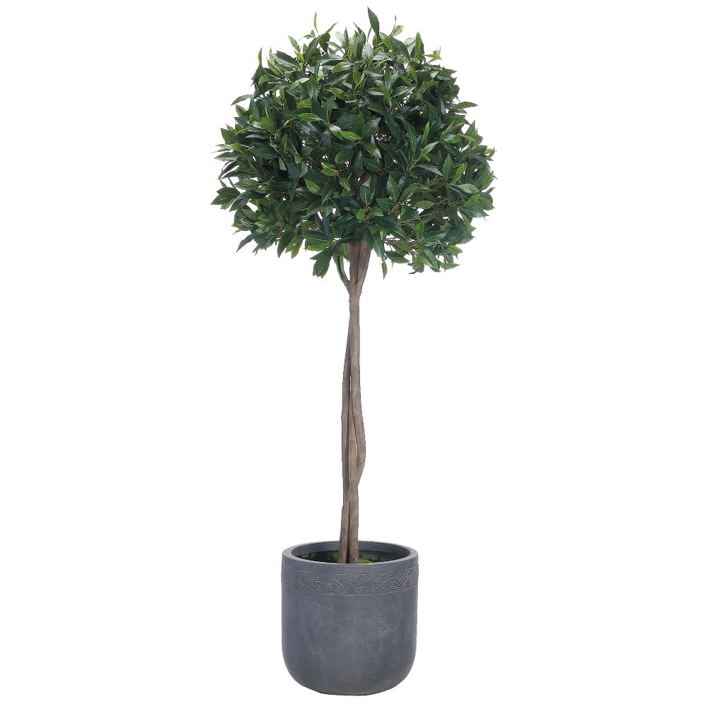 Faux Potted Bay Leaf Topiary West Elm
