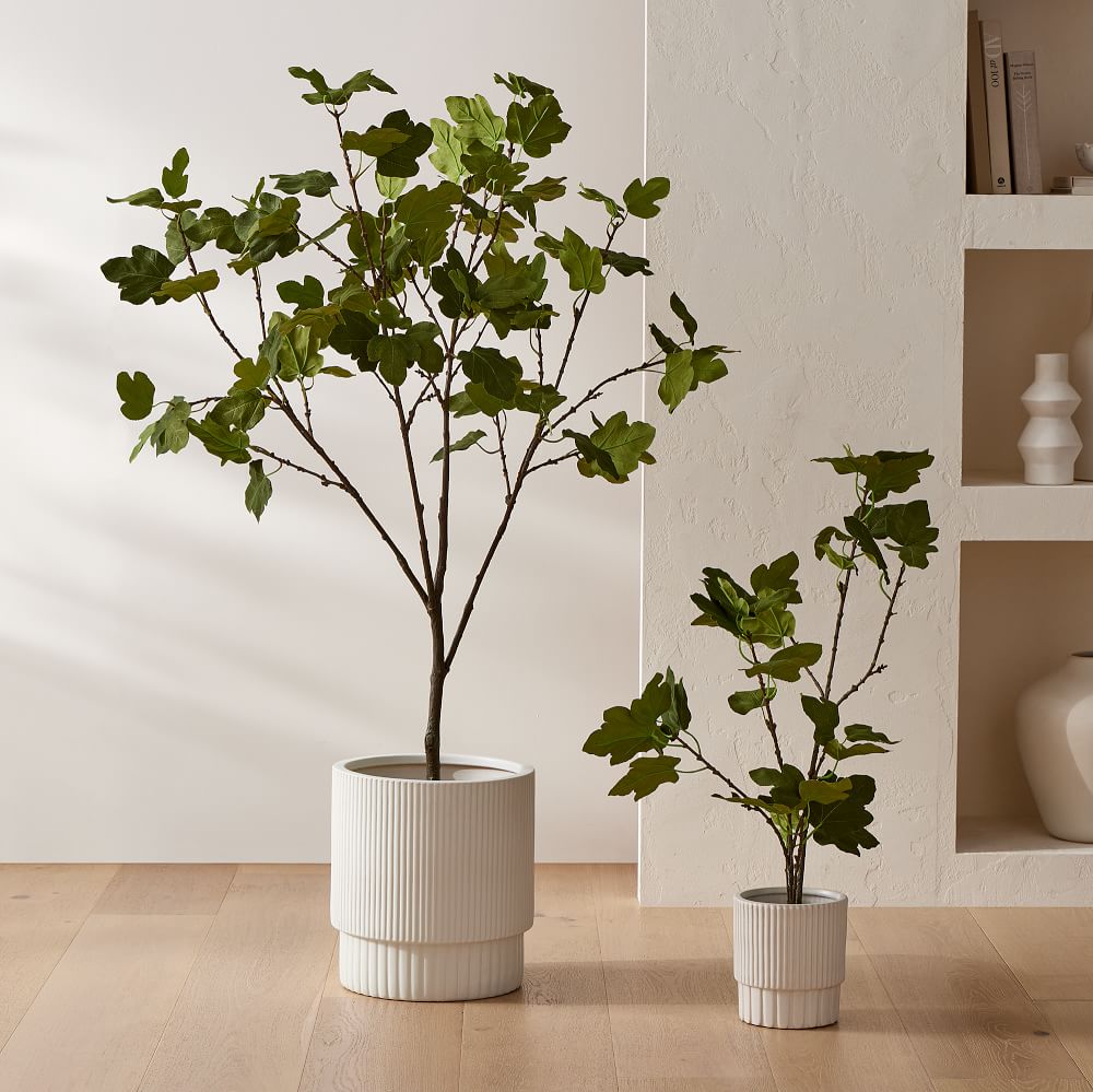 Faux Potted Brown Turkey Fig Tree West Elm