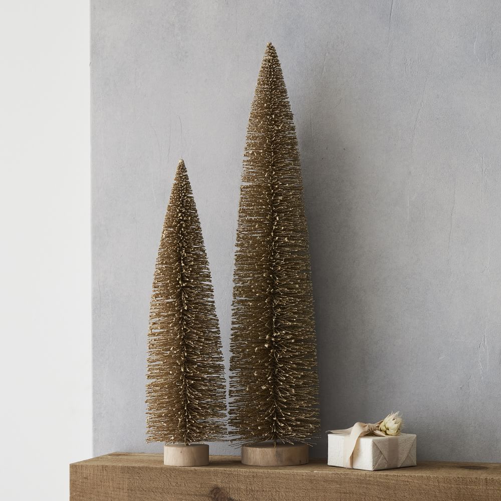 Champagne Bottle Brush Trees West Elm