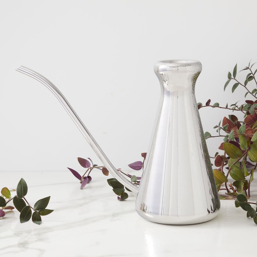 Modern Stainless Steel Watering Can West Elm